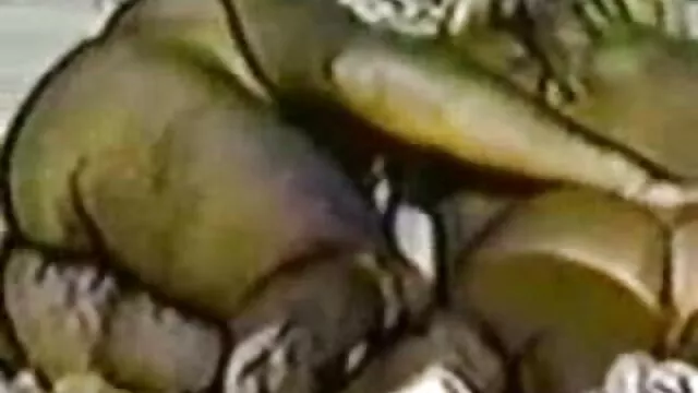 Asia Cam3 viejita follando